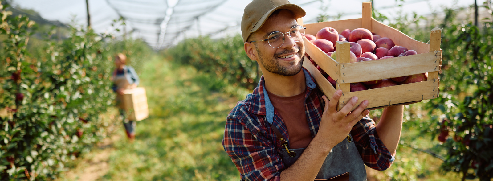 worker at a vineyard