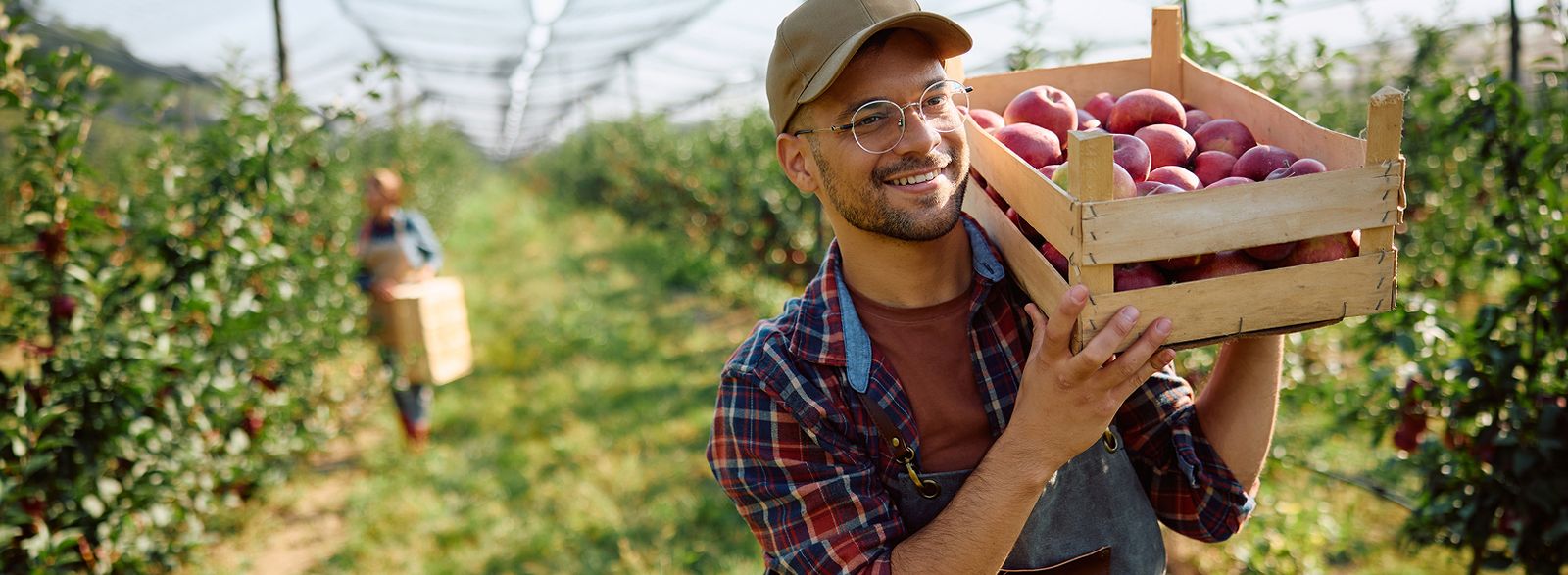 worker at a vineyard